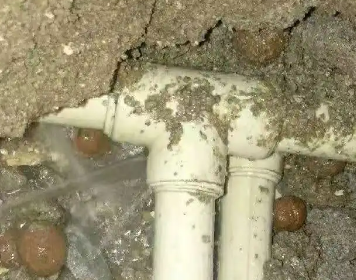 陵水测漏水多少钱