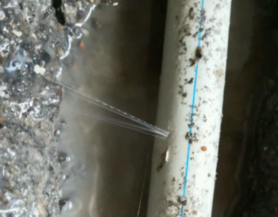 陵水测漏水哪家好