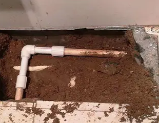 陵水测漏水哪家好