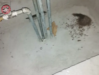 陵水卫生间测漏水价格明细