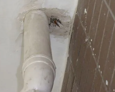 陵水漏水检测哪家好